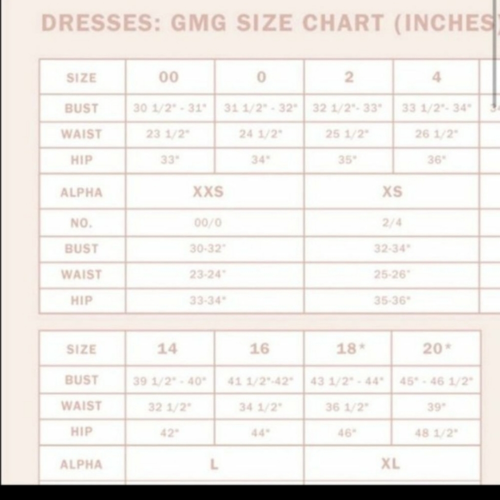 NWT Gal Meets Glam Viola Raffia Embroidered Dress Size 4 - Picture 10 of 10